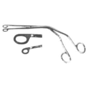 Magiltöng fullorðins