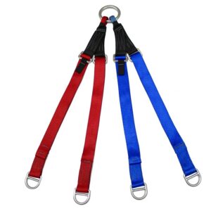 hard eye litter bridle