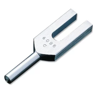 Tónkvísl 4096 Hz Donna ehf.