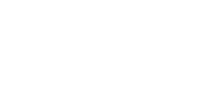 Braun logo